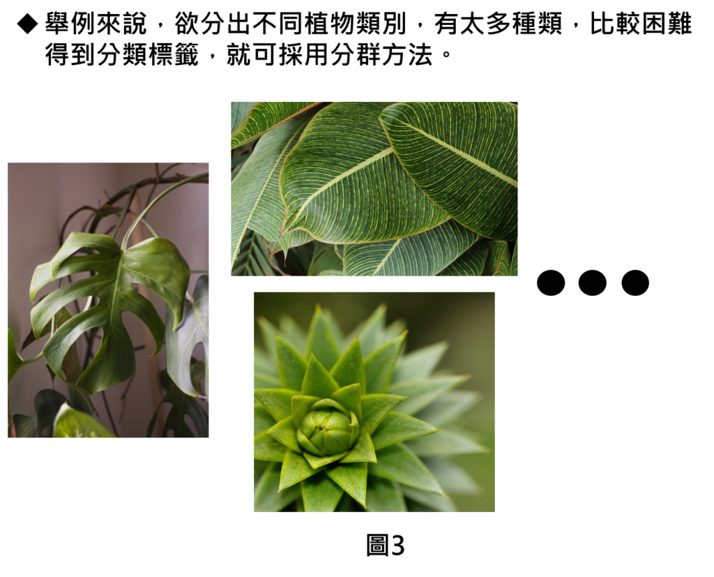 舉例來說，欲分出不同植物類別，有太多種類，比較困難得到分類標籤，就可採用分群方法。
