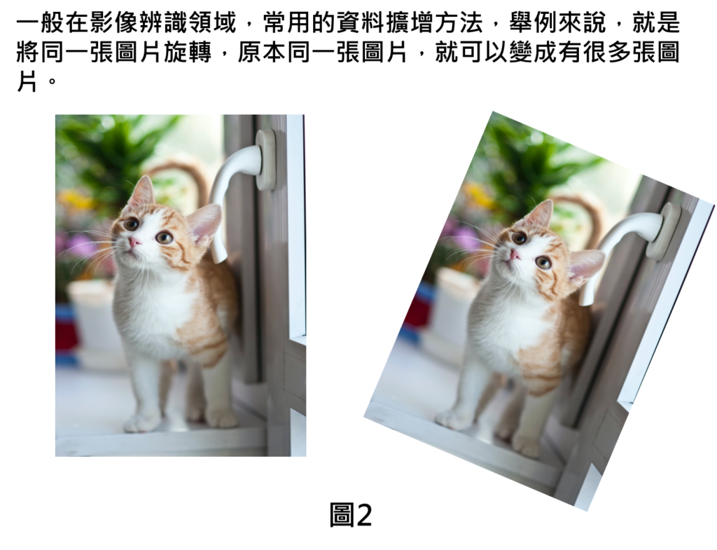 一般在影像辨識領域，常用的資料擴增方法，舉例來說，就是將同一張圖片旋轉，原本同一張圖片，就可以變成有很多張圖片。
