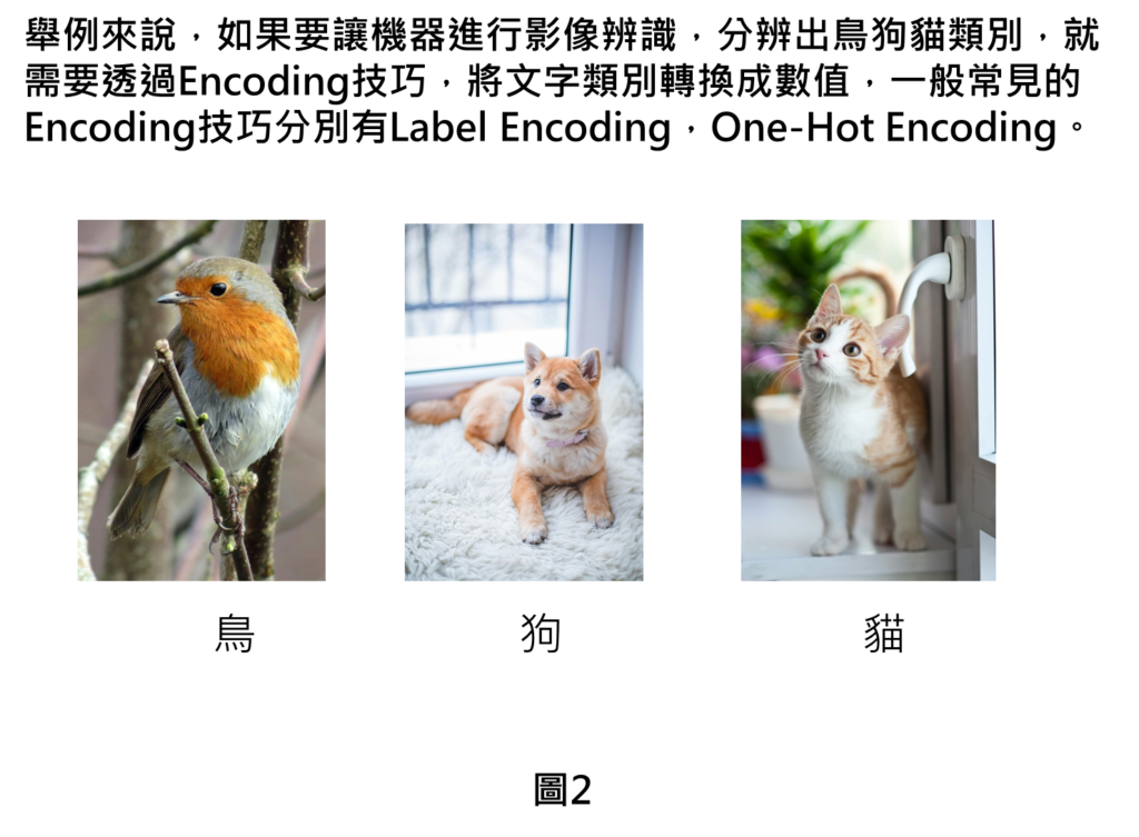 舉例來說，如果要讓機器進行影像辨識，分辨出鳥狗貓類別，就需要透過Encoding技巧，將文字類別轉換成數值，一般常見的Encoding技巧分別有Label Encoding，One-Hot Encoding。
