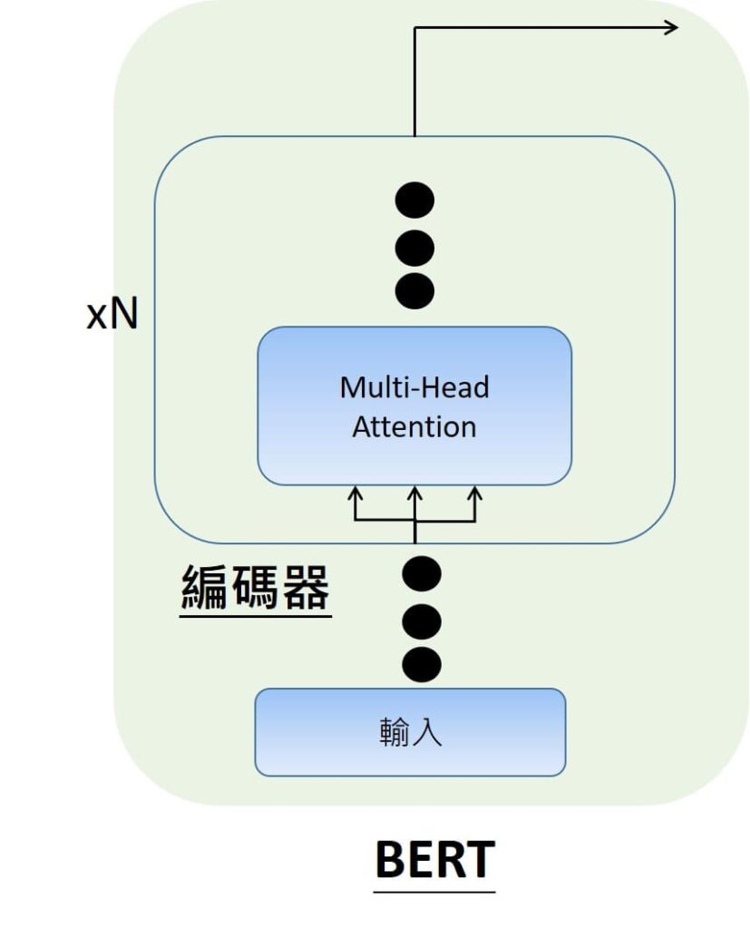 對於BERT模型而言，就只會有綠色方塊的部分，沒有解碼器，全部都是編碼器，在編碼器部分，BERT模型在原版論文裡面，有分成小模型跟大模型互相比較。分別會有N=12個或24個的編碼器。
